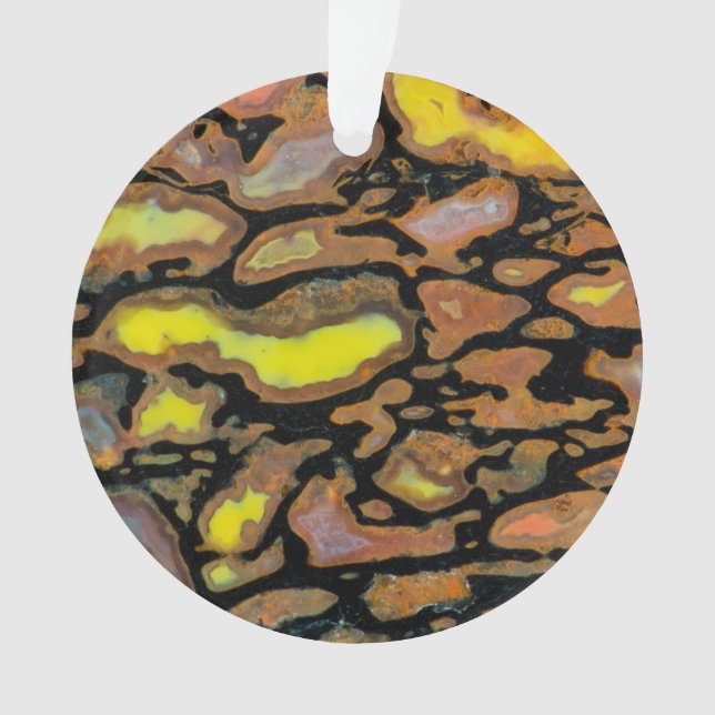 Ornamento Osso de Dinossauro Multicolorido (Frente)