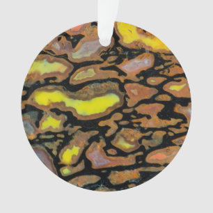 Ornamento Osso Dinossauro Multicolorido