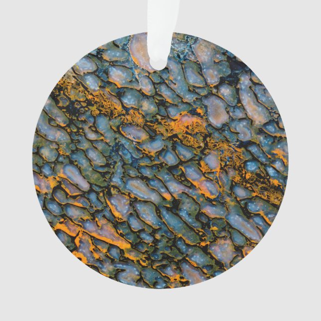 Ornamento Osso do Dinossauro Petrificado (Frente)