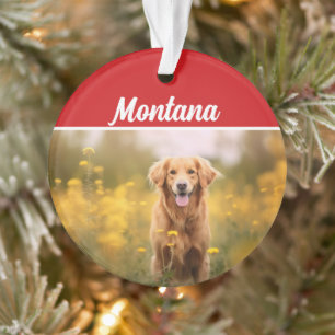 Ornamento Ouro Retriever Name e Photo Holiday Christmas