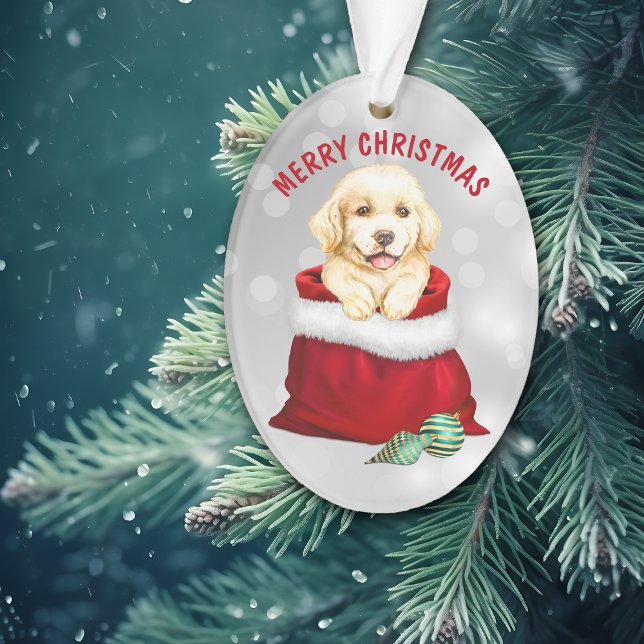 Ornamento Ouro Retriever Puppy Dog Surpresa Ornament (Criador carregado)