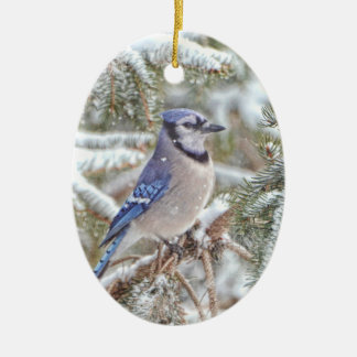 Ornamento oval que caracteriza um Jay azul na neve