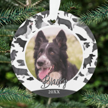 Padrão Border Collie Nome do Cão Foto Natal