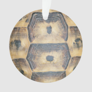 Ornamento Padrão Tortoise Shell