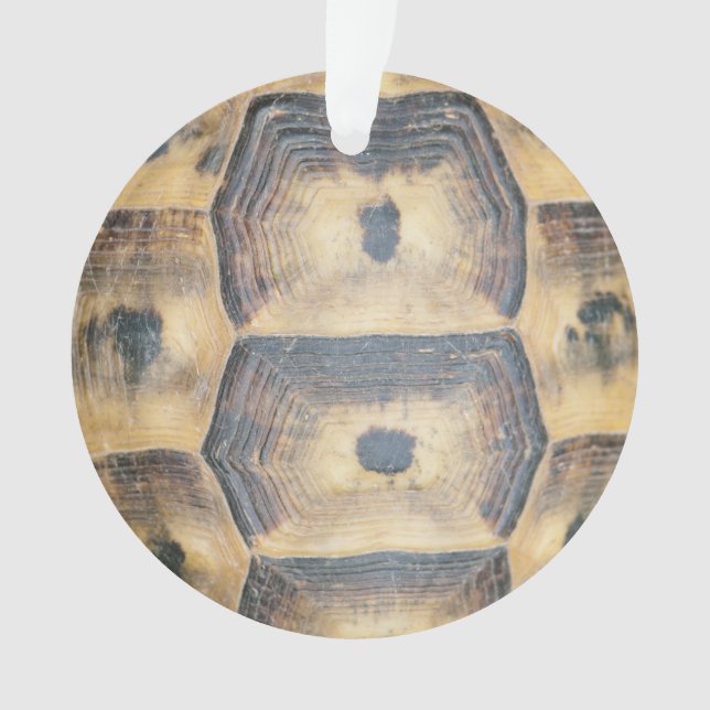 Ornamento Padrão Tortoise Shell (Frente)