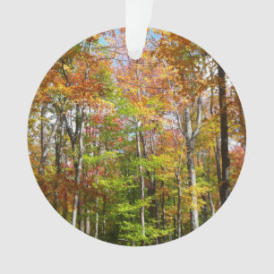 Ornamento Paisagem de outono de Floresta II