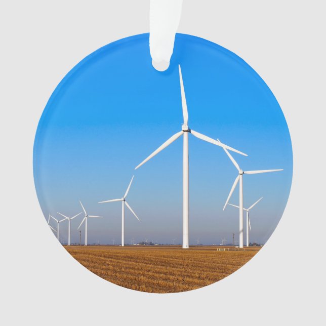 Ornamento Paisagem do vento (Frente)