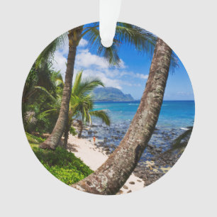 Ornamento Palmeiras ao longo da praia de Hideaways