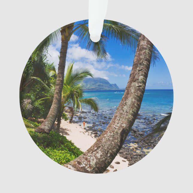 Ornamento Palmeiras ao longo da praia de Hideaways (Frente)