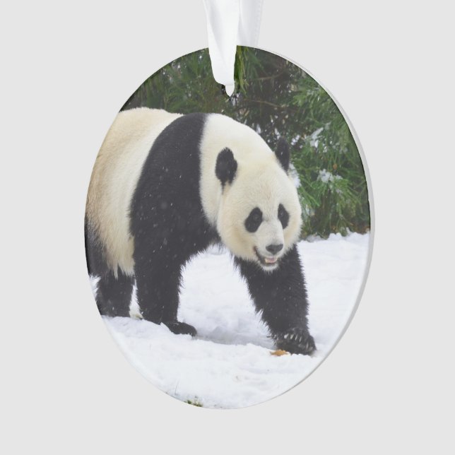 Ornamento Pandas gigantes de Smithsonian | na neve (Frente)