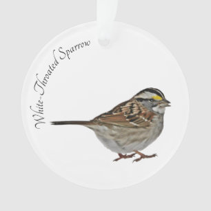 Ornamento Pardal Branco-Throated