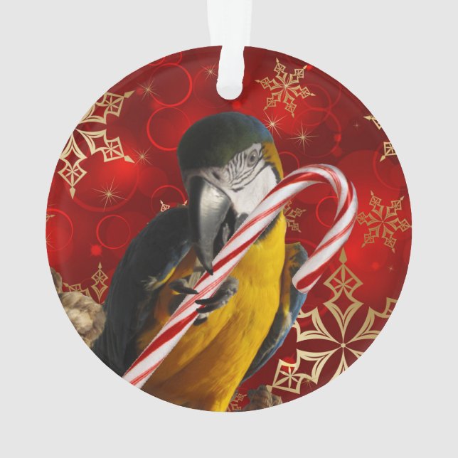 Ornamento Parte dianteira e parte traseira feitas sob (Verso)