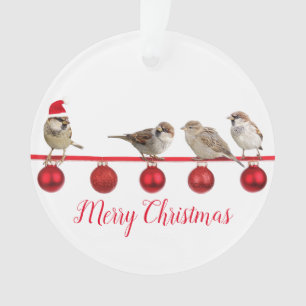 Ornamento Pássaro Bonito com Papai Noel Feliz Natal