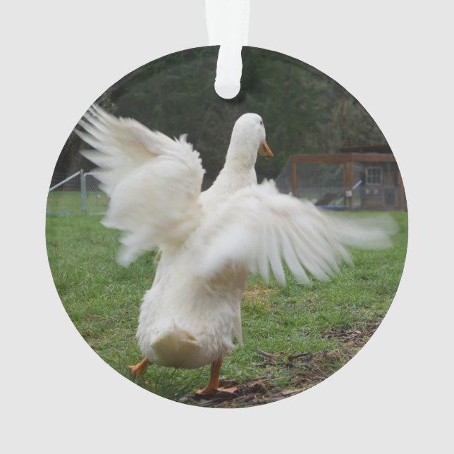 Ornamento Pato Dançante (Verso)