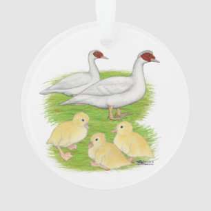 Ornamento Patos Branco Família Muscovy