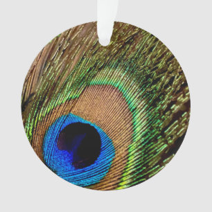 Ornamento Peacock Retroativo