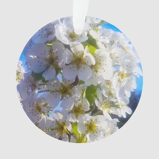 Ornamento Pear Blossoms (Frente)