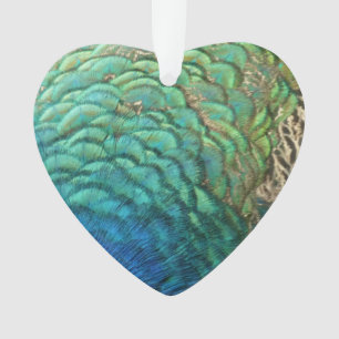 Ornamento Penas de Peacock I Abstrato