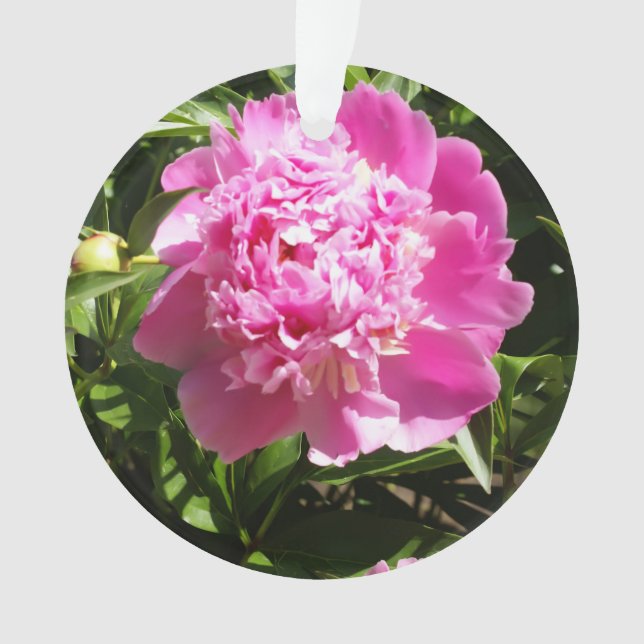 Ornamento Peônias cor-de-rosa escuro (Frente)