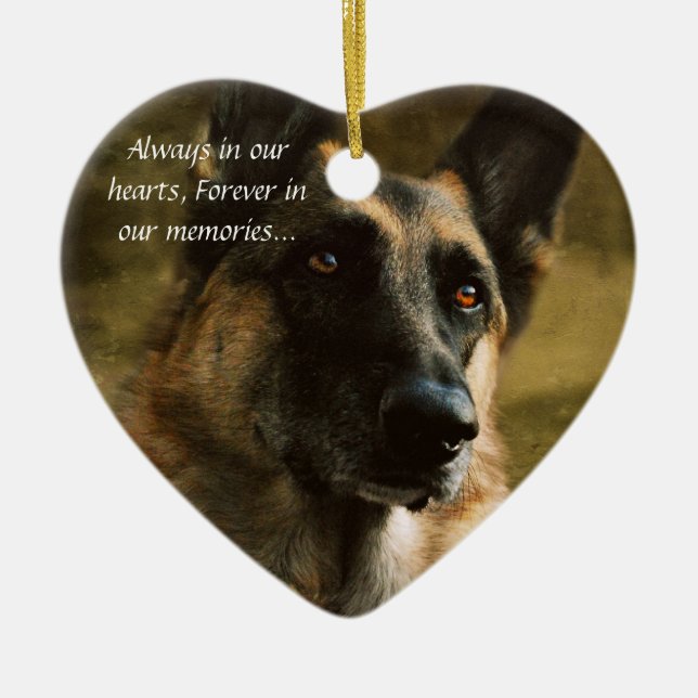 Ornamento perdido do animal de estimação (Frente)