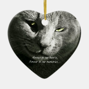 Ornamento perdido do animal de estimação