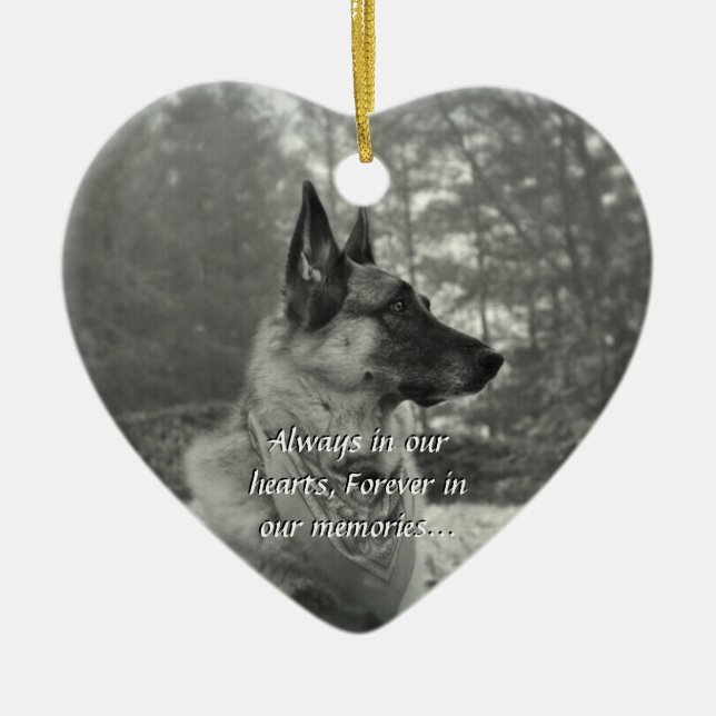 Ornamento perdido do animal de estimação (Frente)