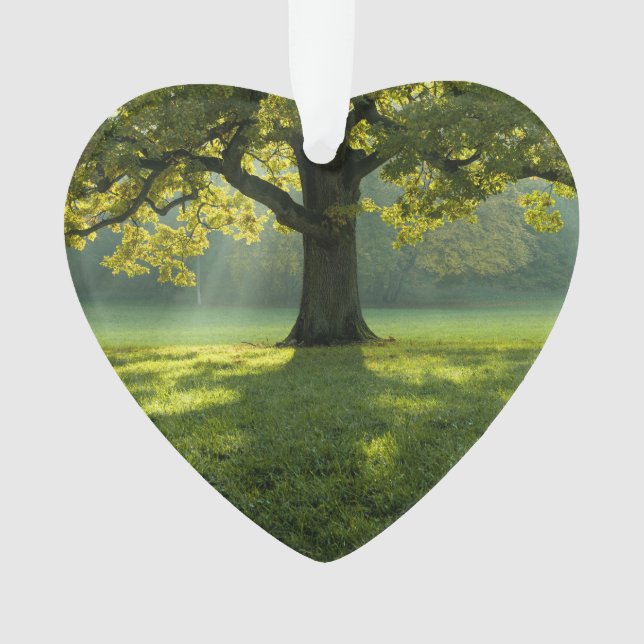 Ornamento Personalização de Foto Datada de Floresta Grande (Frente)