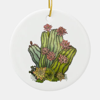 Ornamento Personalizado Cactus e Suculente