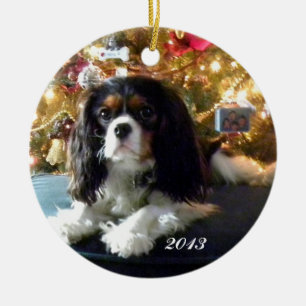 Ornamento Personalizado Cavalier King Charles Span