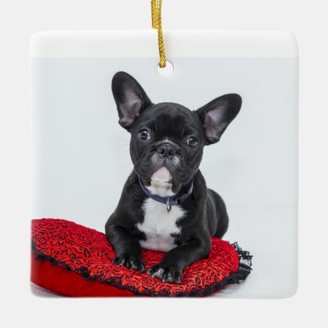 Ornamento Personalizado de Guarda Acritiva Familia (Frente)