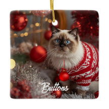 Ornamento Personalizado de Natal Gato de Bico-Vinh