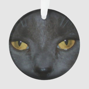 Ornamento personalizado do gatinho gato cinzento