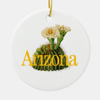 Ornamento personalizável de Arizonas com Saguaro C