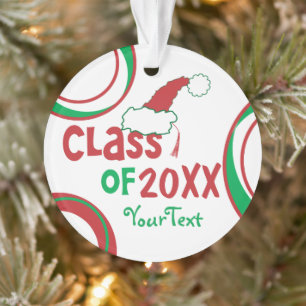 Ornamento Personalize Divertido © Turma de Graduado Ornament