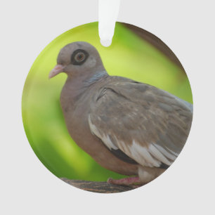 Ornamento Personalize o produto