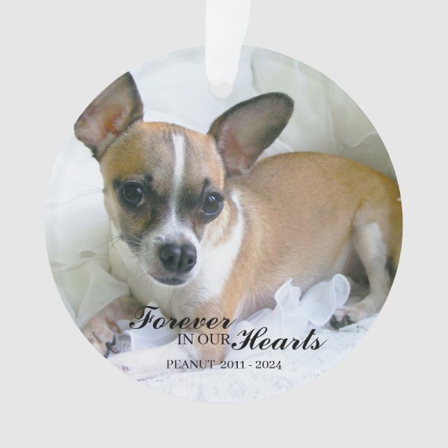 Ornamento Personalized Pet Christmas Ornament (Frente)
