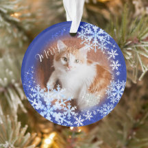 Pet Cat Blue Ornament