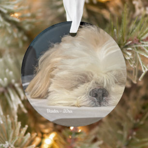 Ornamento Pet Dog Puppy Ornament Personalizado