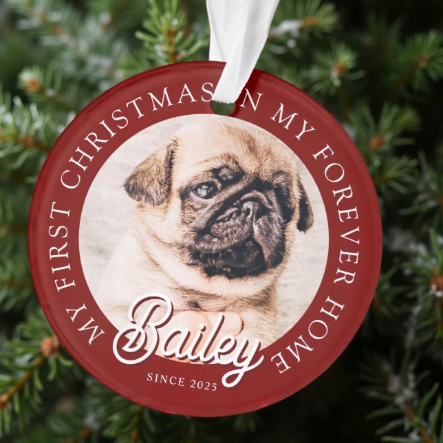 Ornamento Pet é o meu primeiro Natal em Forever Home Modern (Criador carregado)