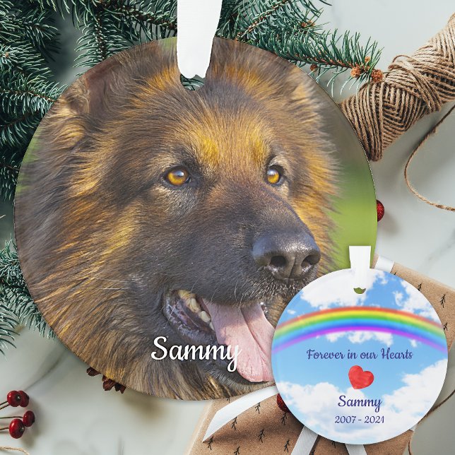 Ornamento Pet Losd Rainbow Bridge Pet Dog Foto Memorial (Criador carregado)