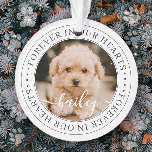 Ornamento Pet Memorial Forever Hearts Elegante Foto Chic