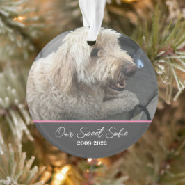 Ornamento Pet Memorial Personalizável