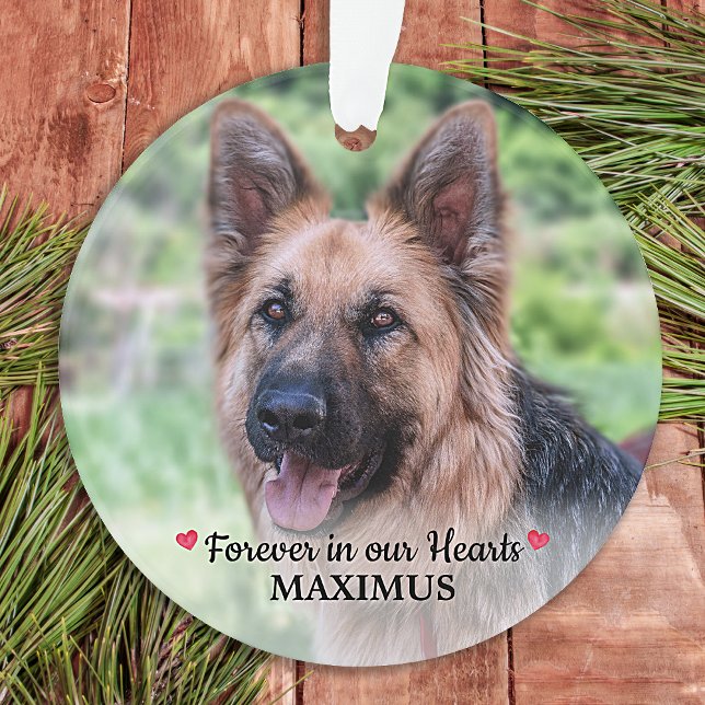 Ornamento Pet Memorial Pet Perde Foto Personalizada de Cão (Criador carregado)
