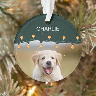 Ornamento Pet Personalizado Usando Cão de Natal de Pet Perso