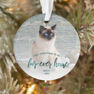 Ornamento Pet Photo First Christmas Forever Home Teal Green