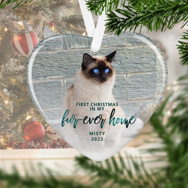 Ornamento Pet Photo First Christmas Forever Home Teal Green (Criador carregado)