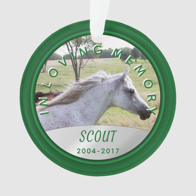 Ornamento Pet Photo Memorial Ornament In Loving Memory Green (Frente)