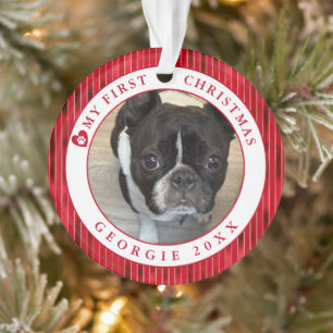 Ornamento Pet Photo My First Christmas