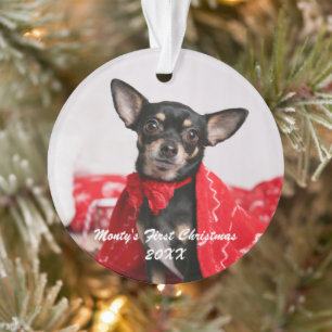 Ornamento Pet Primeiro Natal