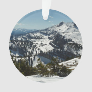 Ornamento Picos de neve da Grande Montanha Teton II Foto